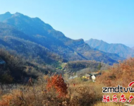 爬山：嵖岈山溫泉小鎮度假酒店,是我市首家五星級度假酒店,各項硬件設施齊全,服務周到入住酒店即送溫泉門票.嵖岈山溫泉小鎮旁邊有座海拔不到200米的花山, ,適合喜歡休閑健身的游客登高游玩。