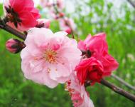 可不是？呼吸青草的氣息，呼吸泥土的氣息，來擁抱曾經呵護過的鄉野。