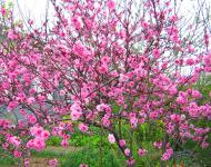 陶醉在大自然的美景中，大有樂不思蜀的感覺。