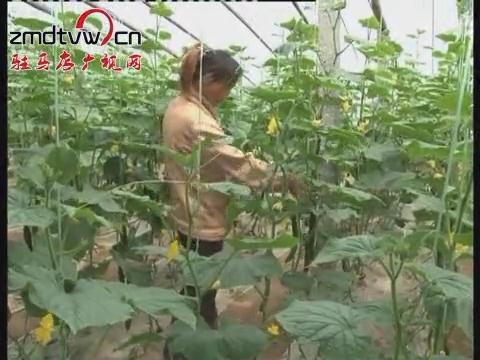 新聞聯播《2016.03.20》