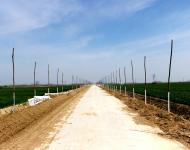 農業開發項目區