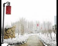 還有這宿舍后邊的假山上，都如此的唯美唯幻。