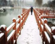 你能想得到嗎？這么美！你敢承認這就是我們大駐馬嗎？最后，小編是希望這2016年的第一場雪不要走得太早！你呢？