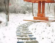 還有這宿舍后邊的假山上，都如此的唯美唯幻。