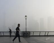 2017年1月3日，上海，受大霧天氣影響，陸家嘴地標(biāo)建筑僅剩輪廓，上海中心大廈幾乎消失在大霧及灰霾中。王岡/視覺中國