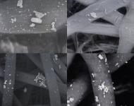 北京化工大學副教授、博士生導師劉勇介紹說，實驗采用的樣本是使用10天左右的防霾鼻罩的濾芯，通過掃描電子顯微鏡放大2000倍左右，能清晰地看到附著在濾芯材料纖維上的微米級大小的霧霾顆粒。（拼合圖片）