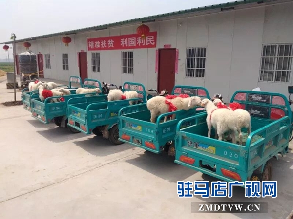 05代養回購好！這種養殖產業扶貧模式群眾很歡迎 .jpg