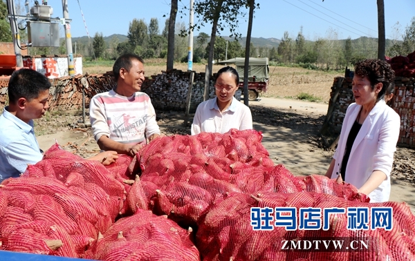 駐馬店市天中老街:發揮企業優勢 助力精準扶貧