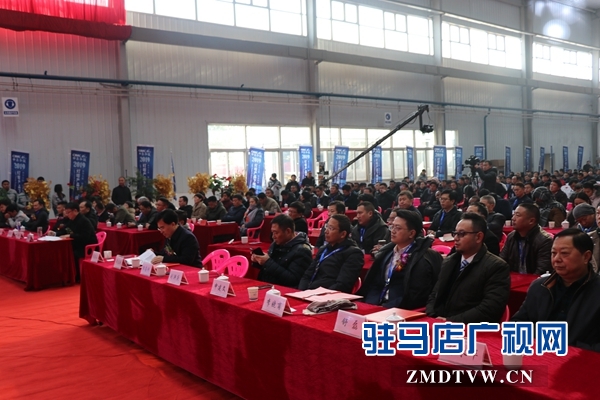 賀振華:強力推進“三大改造” 打造產(chǎn)業(yè)發(fā)展發(fā)達之城