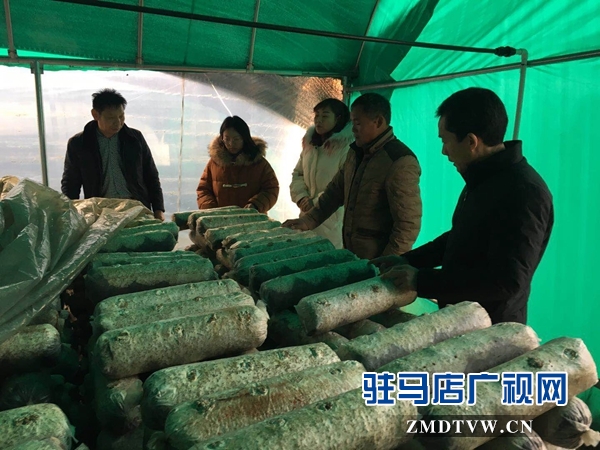 泌陽縣高邑鄉實行黨員+基地幫帶貧困戶