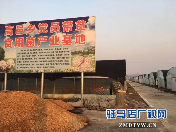 泌陽縣高邑鄉實行黨員+基地幫帶貧困戶