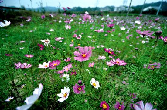 駐馬店市清明假期旅游運行安全平穩