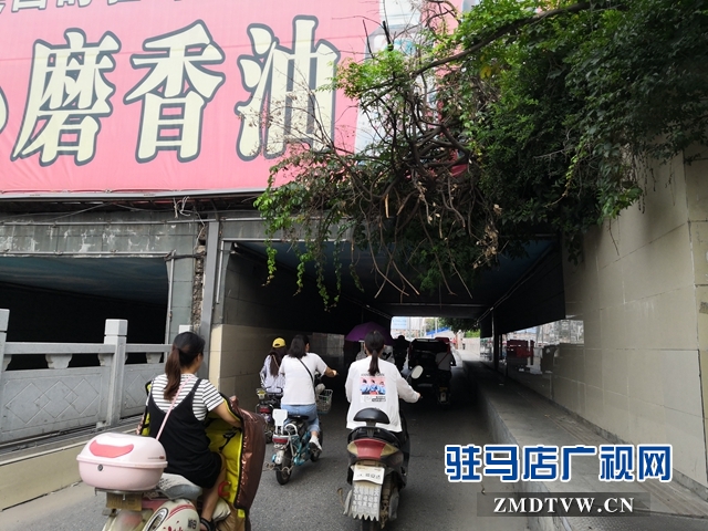 駐馬店市區中華路地下通道下垂樹枝有隱患