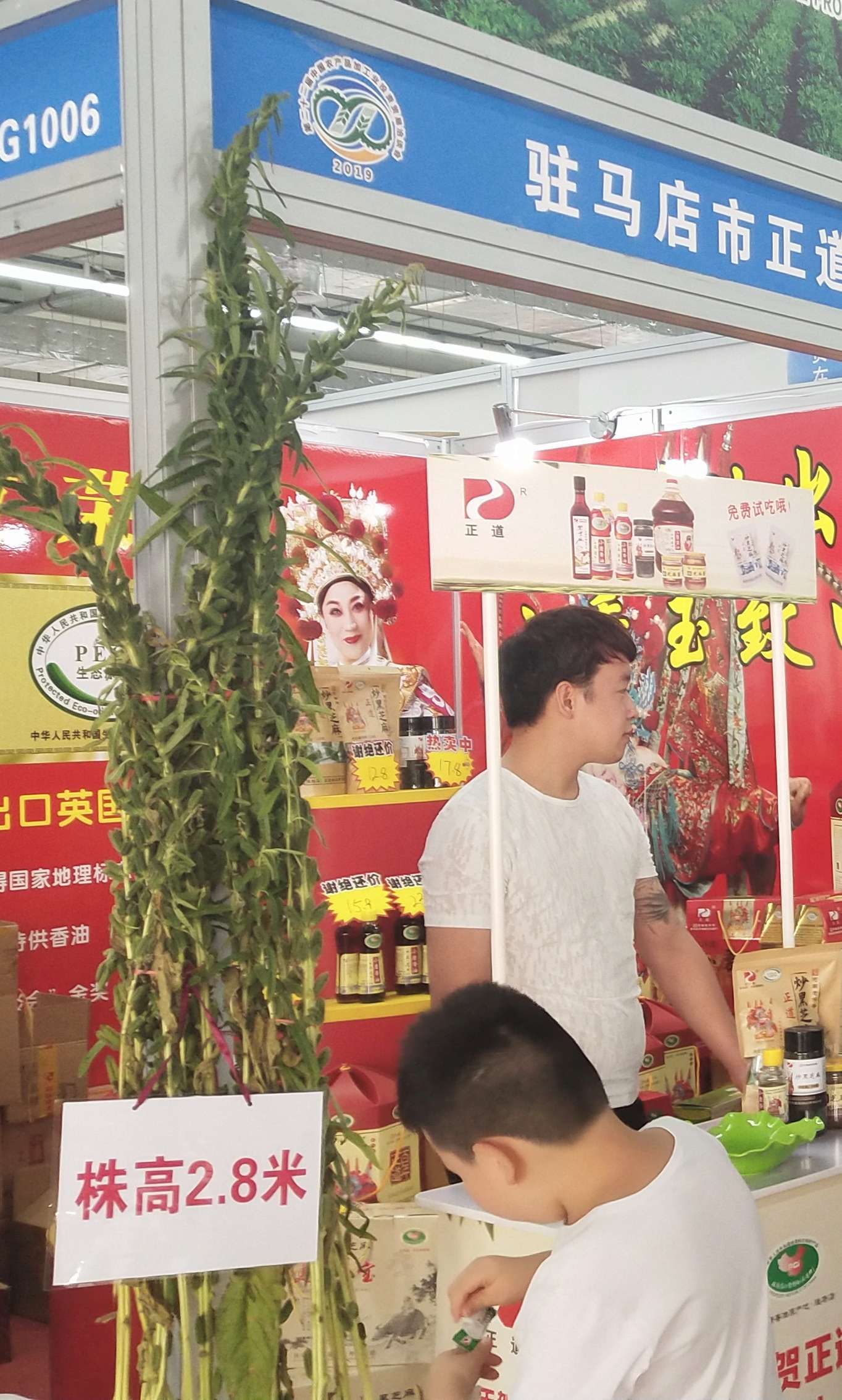 株高兩米八的“芝麻王”驚艷亮相第二十二屆中國農產品加工投洽會正道油業展臺