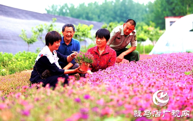 河南駐馬店:小鎮(zhèn)文明建設(shè)催開幸福花兒