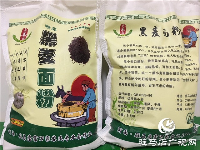 噸源種業彩色小麥喜獲豐收