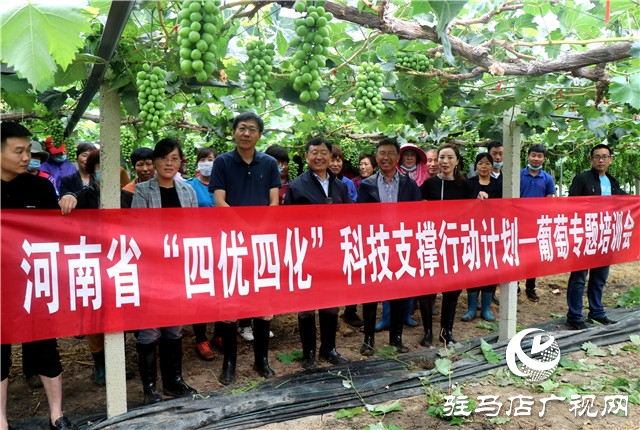 國家葡萄產業技術體系豫東試驗站培訓會在遂平縣召開