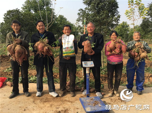 攜手北沃 見證豐收 ——北沃高鈣肥再顯神威，表現驚艷眾人！