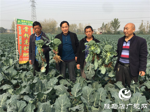 攜手北沃 見證豐收 ——北沃高鈣肥再顯神威，表現驚艷眾人！