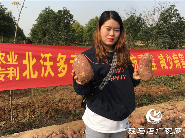 攜手北沃 見證豐收 ——北沃高鈣肥再顯神威，表現驚艷眾人！