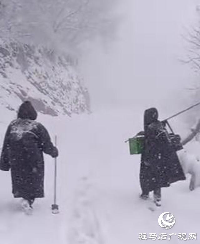 頂風雪 駐馬店廣播電視發射臺值班人員步行上山換班