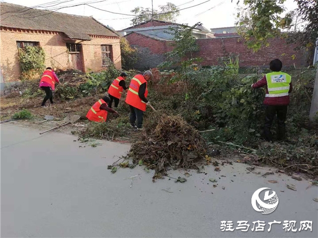 汝南縣王崗鎮掀起人居環境整治工作高潮
