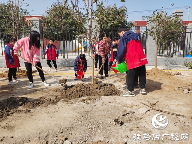 確山縣普會寺鎮張營小學開展義務植樹活動