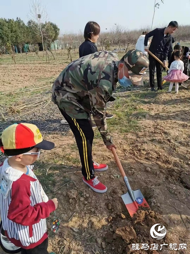 駐馬店市慧層兒園組織開展植樹節活動