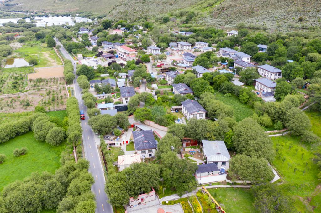 新華社重磅稿件講述總書記同青年的故事