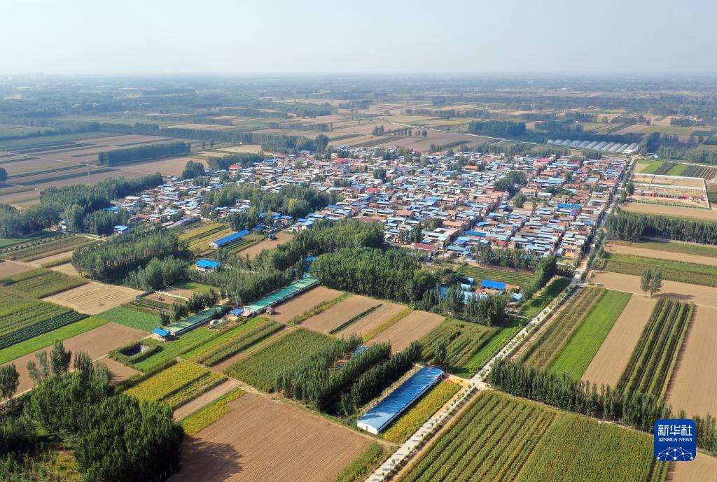 喜迎二十大丨河南：堅決扛穩糧食安全重任