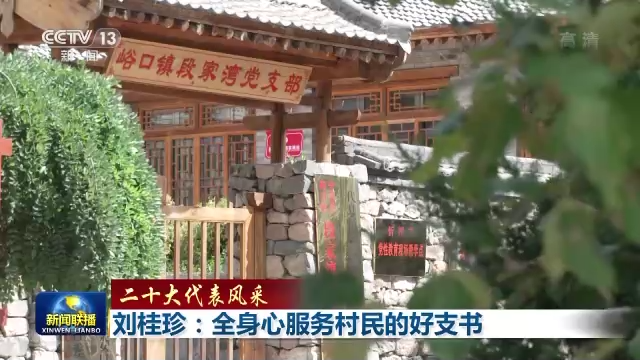 二十大代表風(fēng)采丨劉桂珍:全身心服務(wù)村民的好支書