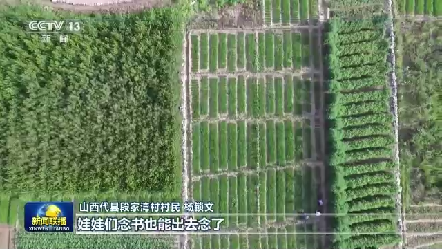 二十大代表風(fēng)采丨劉桂珍:全身心服務(wù)村民的好支書