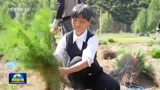 二十大代表風(fēng)采丨劉桂珍:全身心服務(wù)村民的好支書