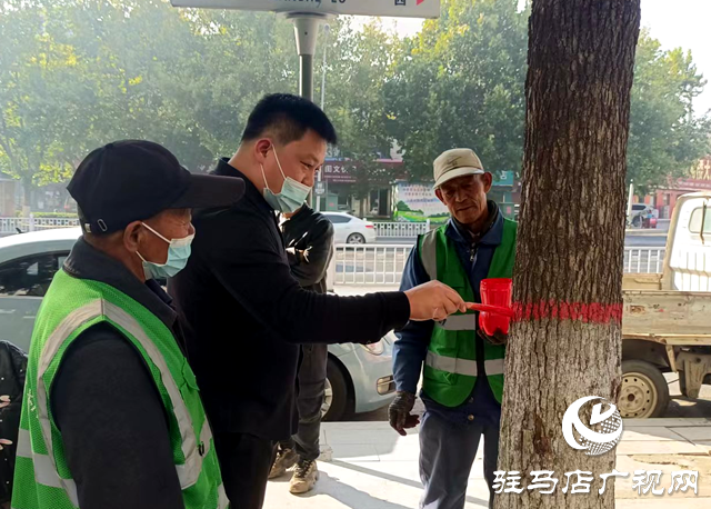 綠化養護靚風景 樹木涂白換新裝