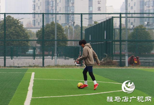 跑步、打球、 踢球…安排!駐馬店市體育場免費開放啦~