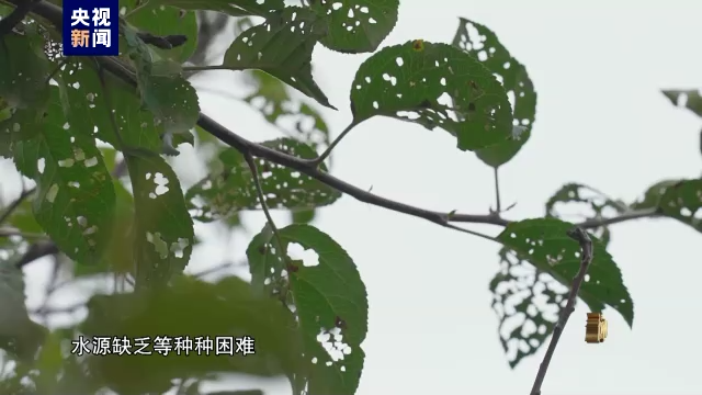 電視專題片《永遠吹沖鋒號》第二集《政治監督》