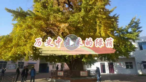 植樹節丨守護從歷史中走來的綠蔭 河南“樹醫”助力古樹名木“延壽回春”