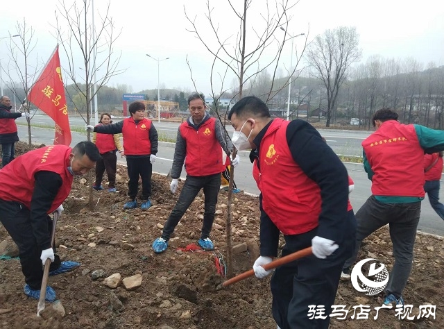 駐馬店廣播電視臺心動FM102.4組織開展第五屆公益植樹節活動