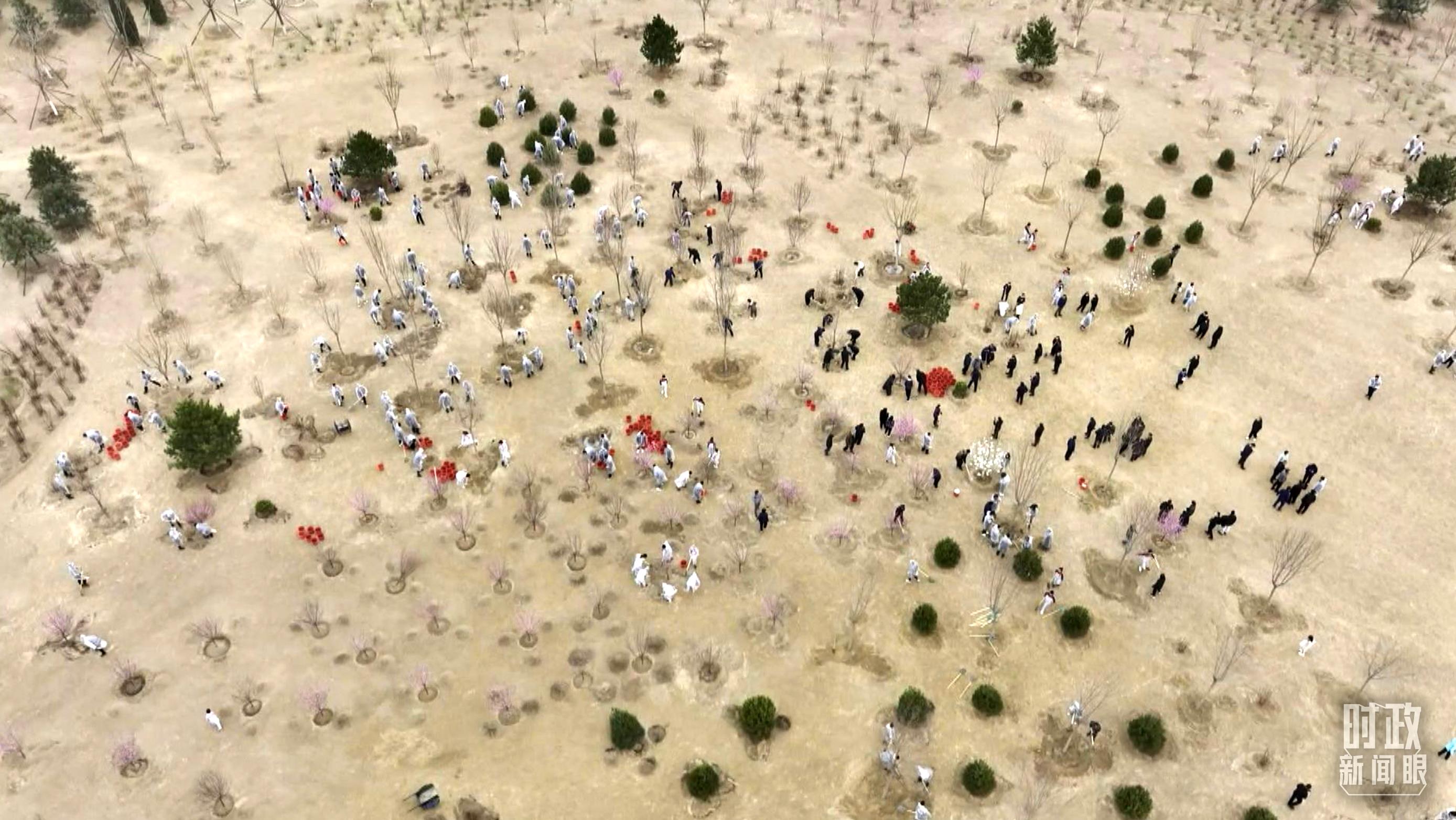 時政新聞眼丨在今年首都義務植樹現場，習近平這三句話飽含深意