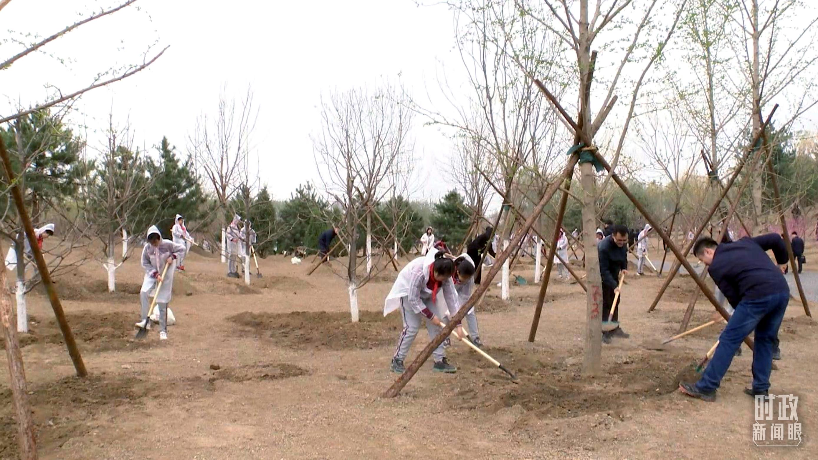 時政新聞眼丨在今年首都義務植樹現場，習近平這三句話飽含深意