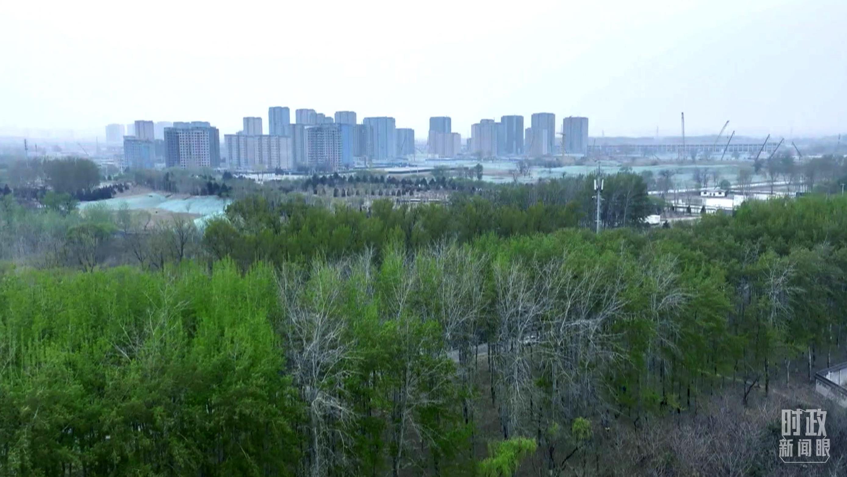 時政新聞眼丨在今年首都義務植樹現場，習近平這三句話飽含深意