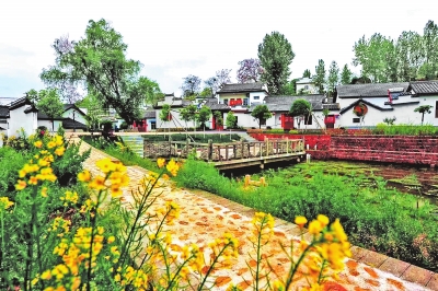 學思想 強黨性 重實踐 建新功 記者微調研丨鄉村治理效能有效提升——學習推廣“千萬工程”系列調研之四