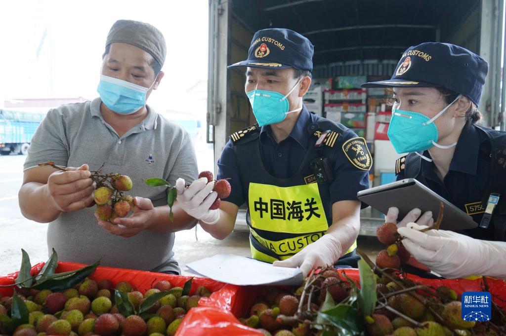 學思想、強黨性、重實踐、建新功丨海關總署:扛穩守國門促發展重任 以更大作為推動主題教育入心見行