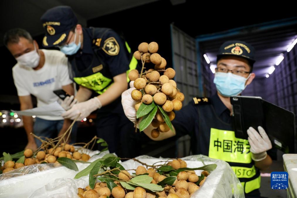 學思想、強黨性、重實踐、建新功丨海關總署:扛穩守國門促發展重任 以更大作為推動主題教育入心見行