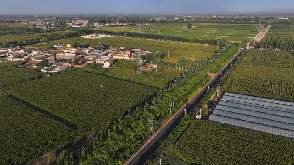 新時代新征程新偉業(yè)·習(xí)近平總書記關(guān)切事丨黃河之水天上來,奔流到此“青”幾許——黃河“幾字彎”生態(tài)治理一線故事