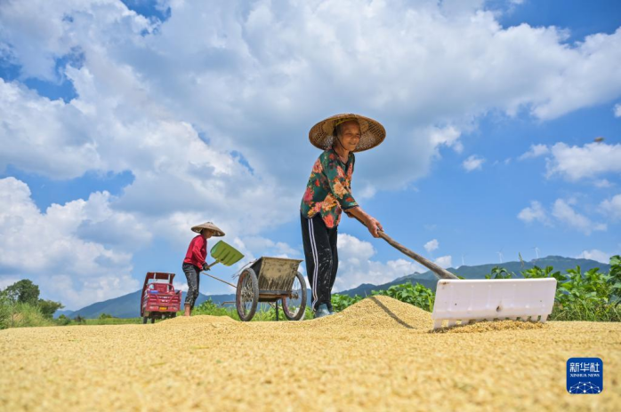 中國農民豐收節｜古詩詞里的豐收之韻
