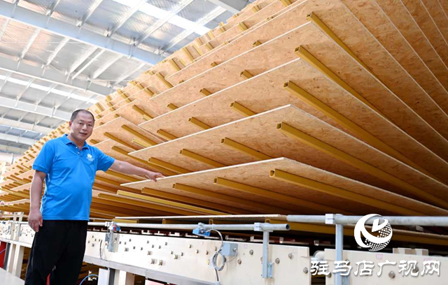 新蔡縣：扭住項目建設“牛鼻子” 打造高質量發展“強引擎”