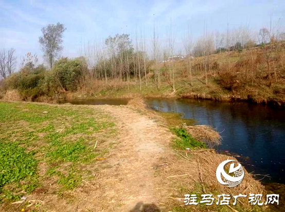 遂平縣陽豐鎮：扎實推進河長制工作助力生態發展