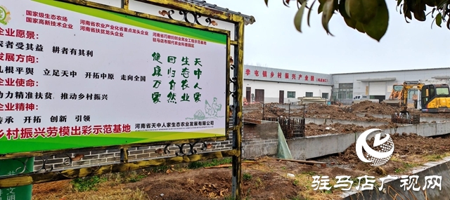 出彩新農人||何磊磊：最小80后在故鄉這片熱土上踐行他“田埂上的夢”