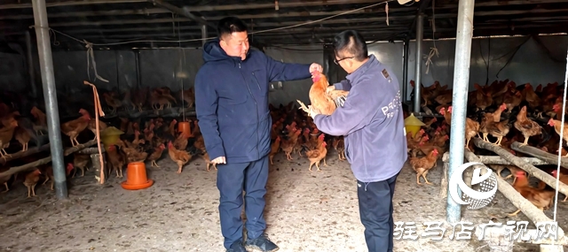 出彩新農人||何磊磊：最小80后在故鄉這片熱土上踐行他“田埂上的夢”